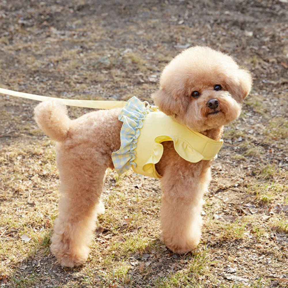 Dog Color Contrast Traction Ro - đánh giá và giá Lace Teddy Lingerie